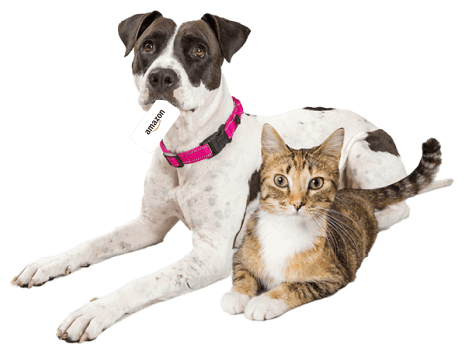 Amazon $25 Gift Card for Pet Insurance Amazon $25 Gift Card for Pet Insurance