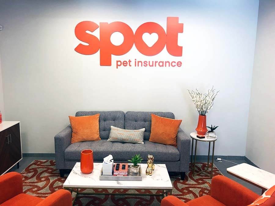 Pet Insurance News, Pet Updates, and Media Pet Insurance News, Pet Updates, and Media
