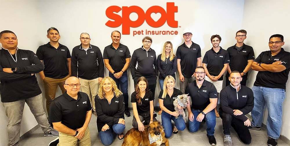 Spot Pet Insurance Staff In The News Spot Pet Insurance Staff In The News
