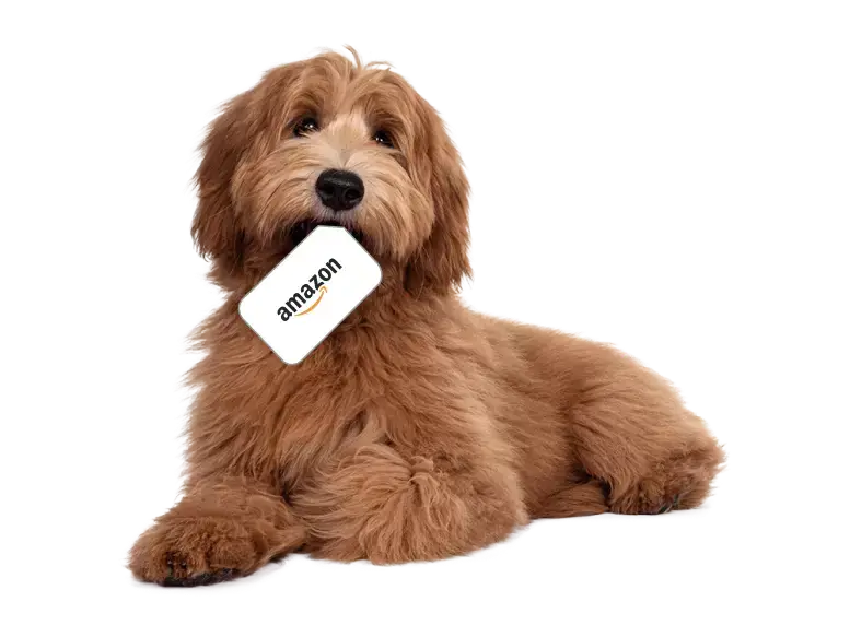 amazon gift card