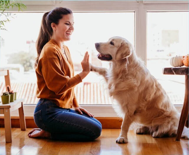 Pet Health Insurance Claim dog high five