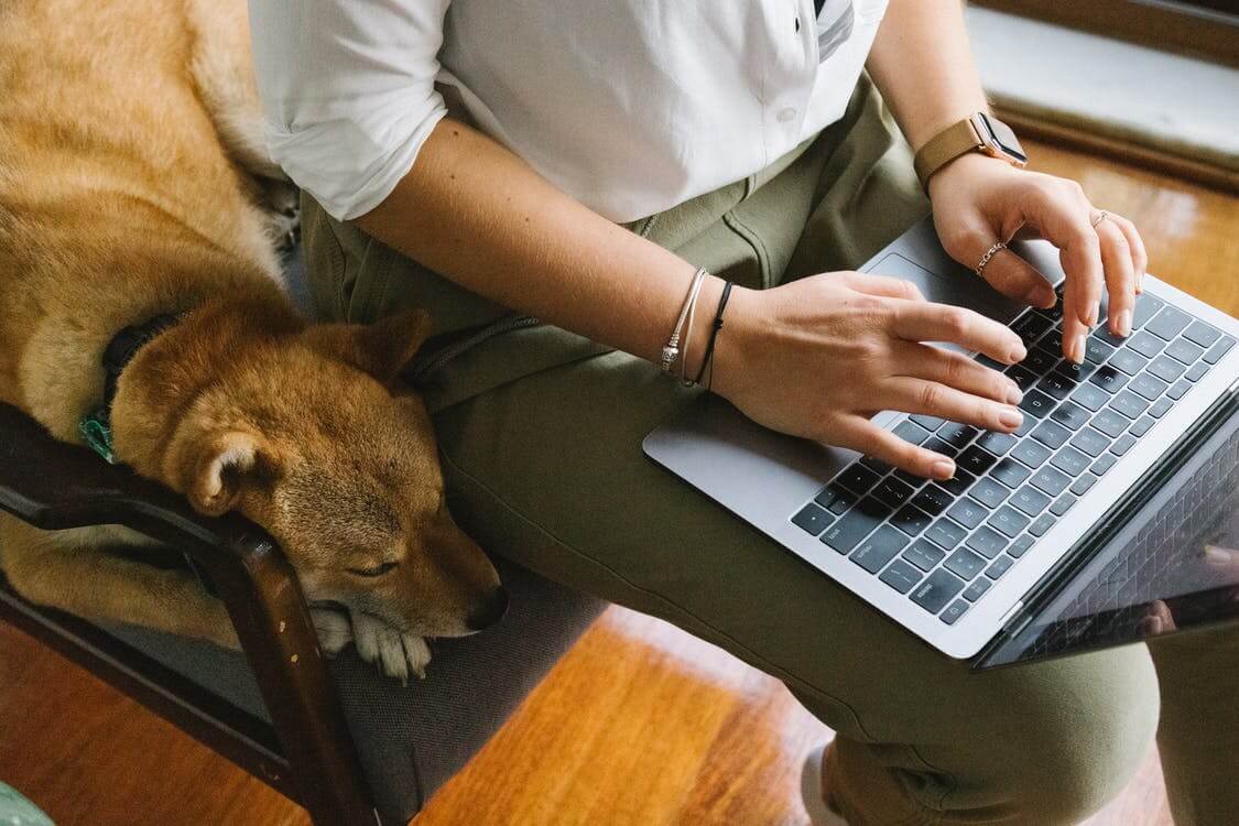 Employee Benefits With Your Job That Helps Your Pet Employee Benefits With Your Job That Helps Your Pet