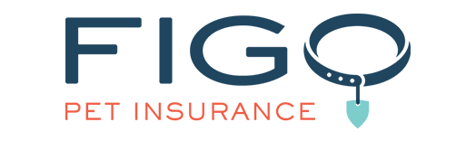 Spot Pet Insurance vs Figo Pet Insurance Spot Pet Insurance vs Figo Pet Insurance