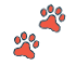The Spot Office Loves Pets