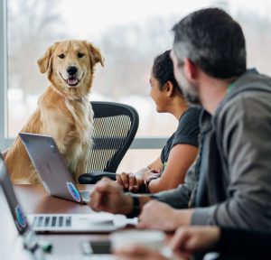 165773357062cf01c2cb509