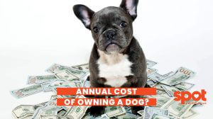 165773398062cf035ca87d8