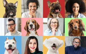 Pet Insurance Benefits Are a Key Retention Tool 1 Pets and people